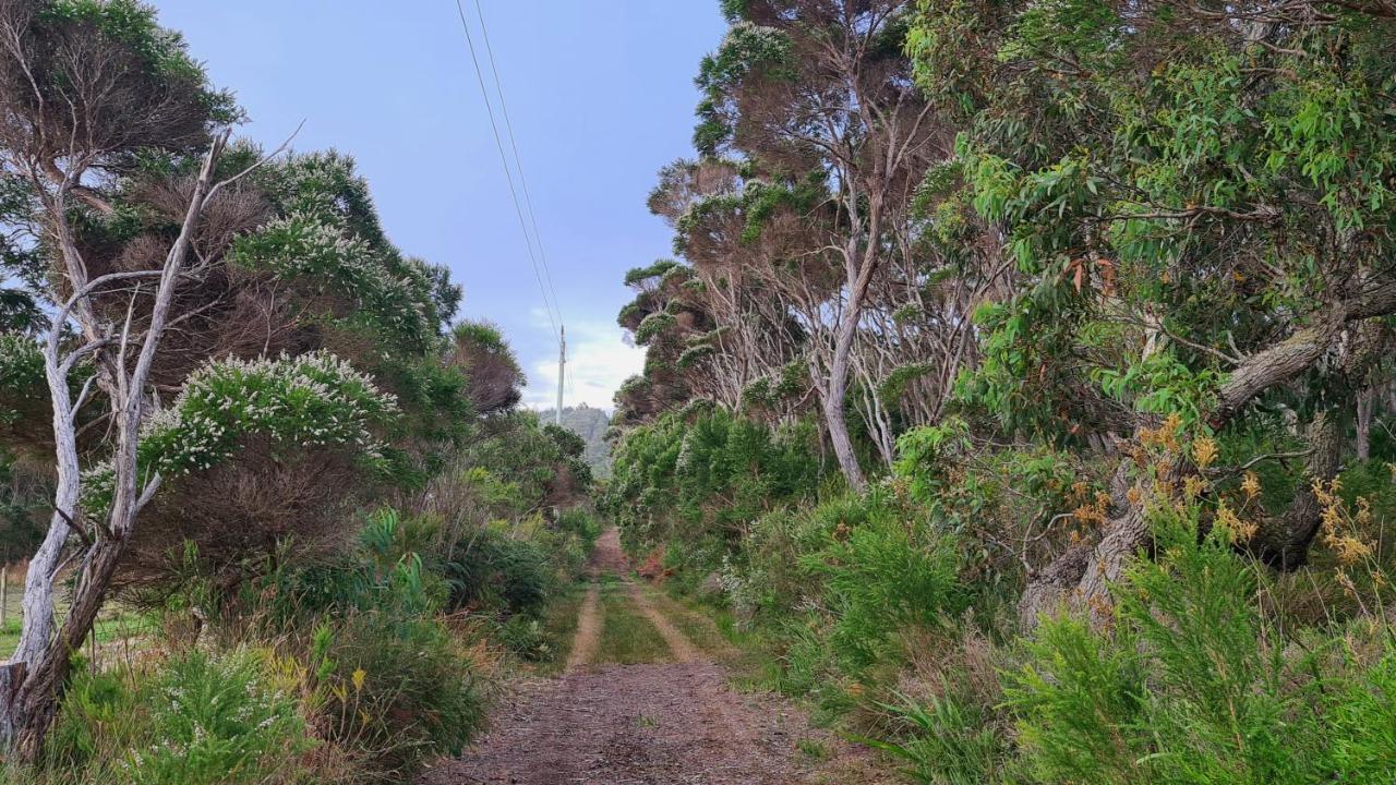 Cape Howe Cottages Lowlands Экстерьер фото